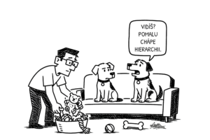 pes a člověk psi mají jasno