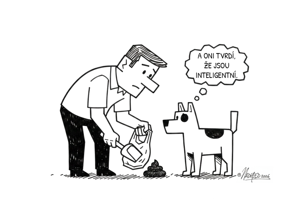 psi mají jasno kdo je divný