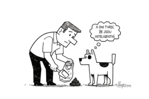 psi mají jasno kdo je divný