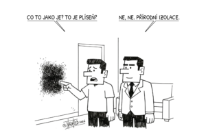 přírodní izolace