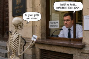 Česká justice: Některé případy dozrají dřív, než se dočkají rozsudku další na řadě